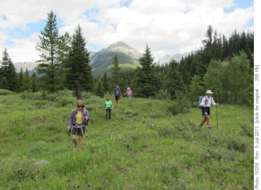 Meadow walk on south side of Johnston Creek Meadow walk on south side of Johnston Creek