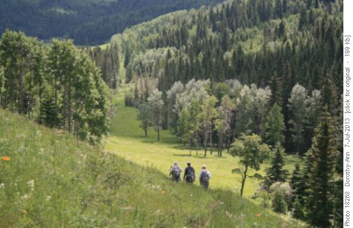 Down the last hill