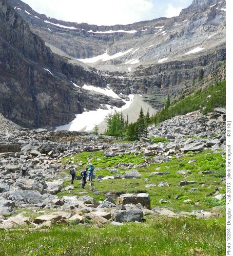Cirque below pass near Lake Agnes
