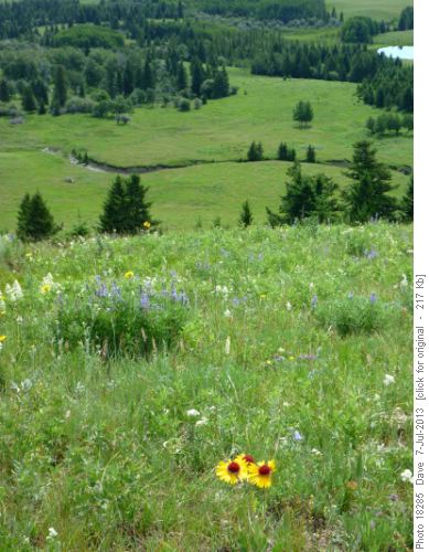 Overlooking meadows