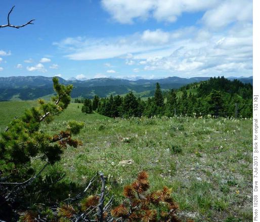 View of Livingstone Range