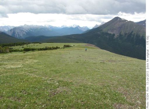 View south from SE peak of Pigeon Mtn