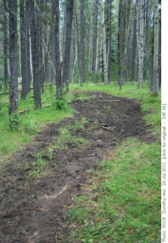 Mud on the ski trail but not as bad as expected