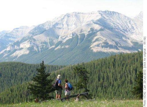 View from top of Indian Oils trail