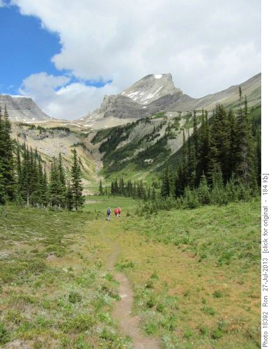 Upper Sherbrooke meadows (Mt.Niles behind)