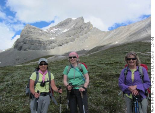 Mt. Niles and {1284 Yoko Ishii}, {1566 Jane Cary} & {206 Barb Mitchell}
