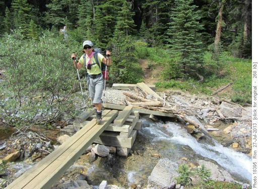 {1284 Yoko Ishii} and damaged bridge on upper Sherbrooke Creek