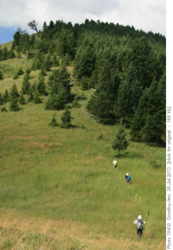 Another Hill??