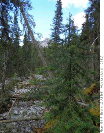 Black Feather Canyon Mess