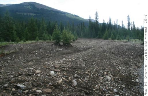 Hmmm! Is there a trail here somewhere?