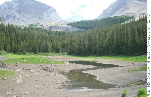 A much-depleted lake