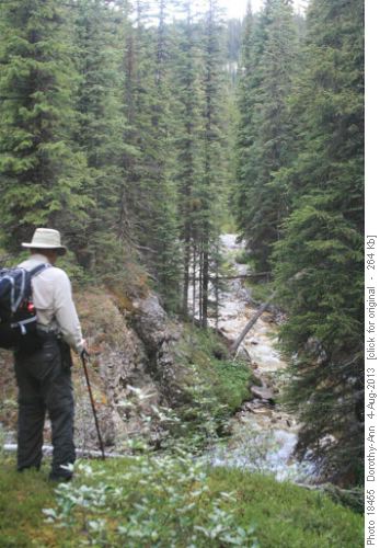 Bob looks down on the fast-flowing James Walker creek above lake