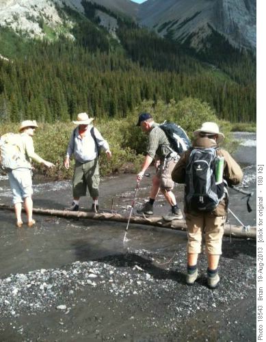 Log Crossing