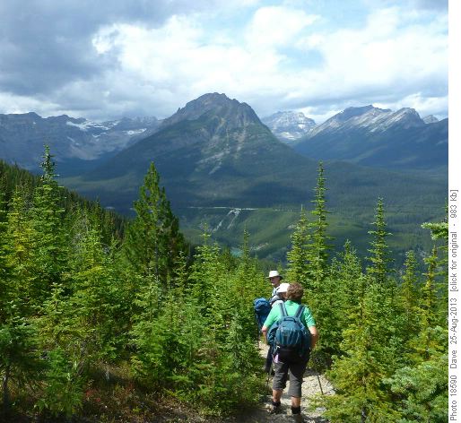 Descent Through Old Burn