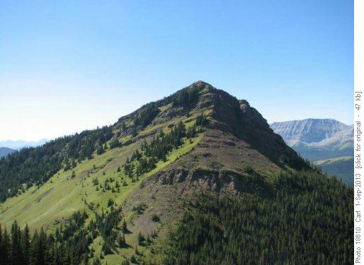 Junction Hill