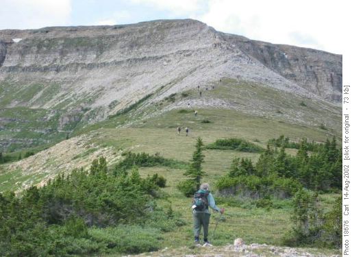 Plateau Mtn, East Ridge loop. The east ridge.