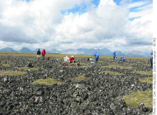 Plateau Mtn
