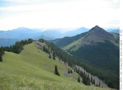 Cat Creek loop.