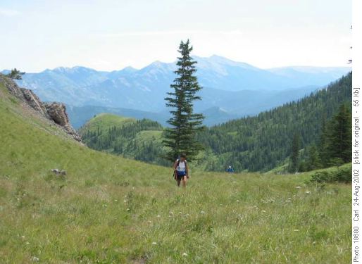 Cat Creek loop.The pass below Junction Hill