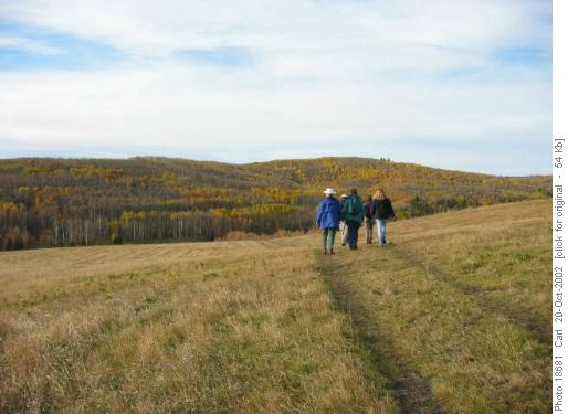 Cross Conservation Area, Fescue Trail loop