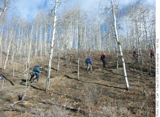 Price, McNabb, Green Mtn, Sheep Tr loop.