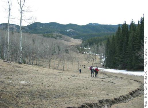 The Mt. McNabb trail in the North Coal Creek meadows.