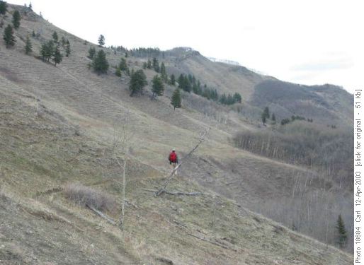 Lesueur C to meadow 337864.