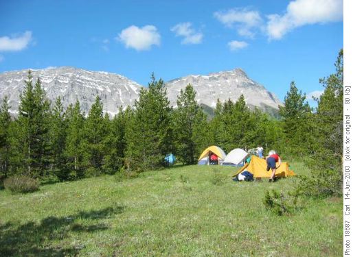 Fitzsimmons Creek campsite, in a meadow just past the north fork crossing.