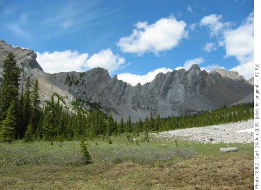 Lineham Creek to col - The first cirque of Lineham Creek.