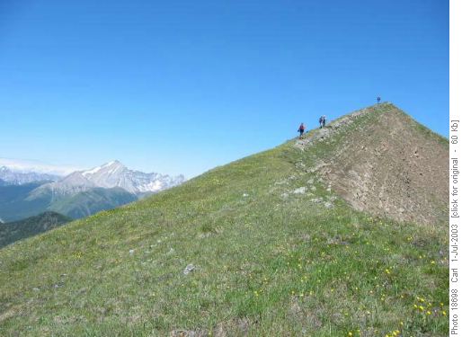 Lineham Ridge.