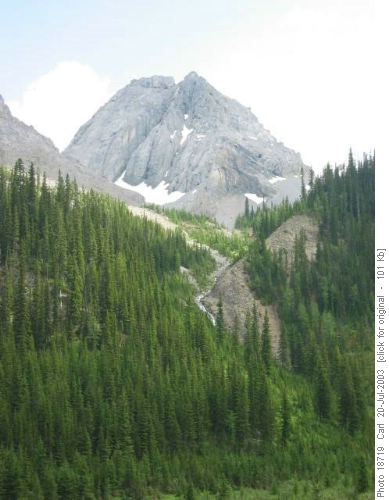 Commonwealth loop with col 163281