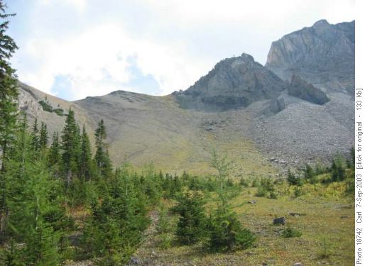 Pass to the northeast of Loomis Lake