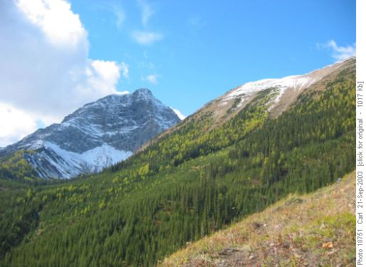 Mount Bishop - Bishop ridge on right