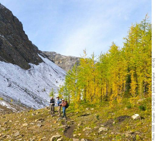 Harold, Norman and Lazslo in the valley below the highest summit