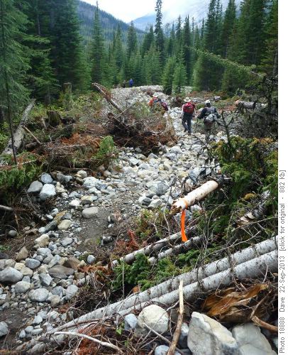 Trail cut through the debris