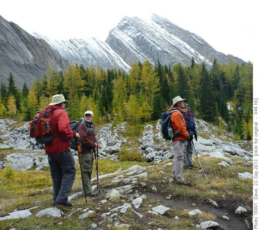 Looking for wildlife, snow on Mount Chester