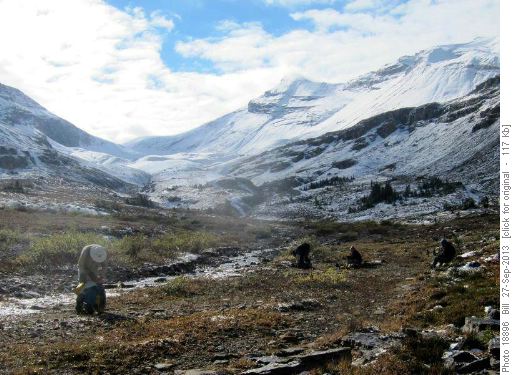 Looking toward Silverhorn Pass