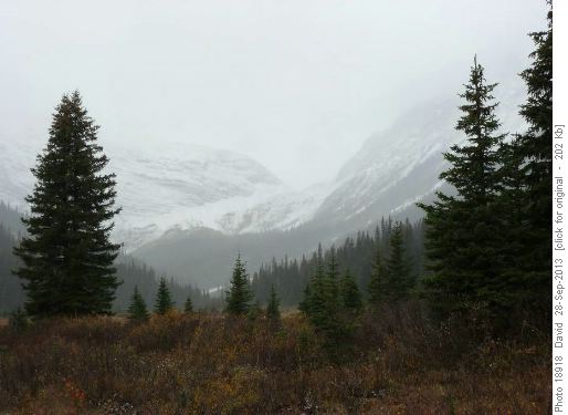 Smuts Pass from Commonwealth Creek Valley