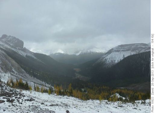 Larches and Commonwealth Valley