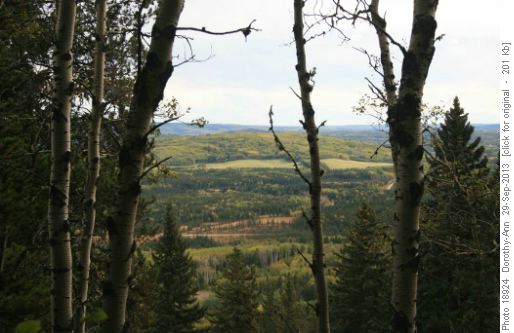 East view from Boundary ridge