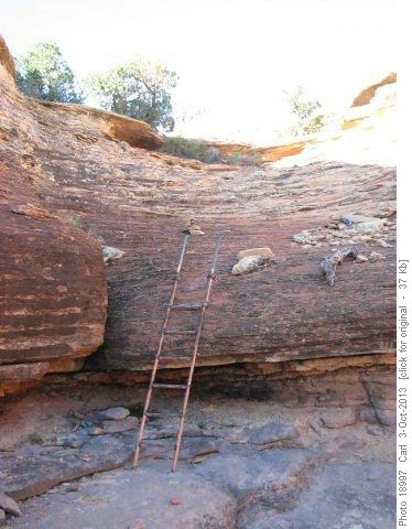 Ladder on the Confluence Trail