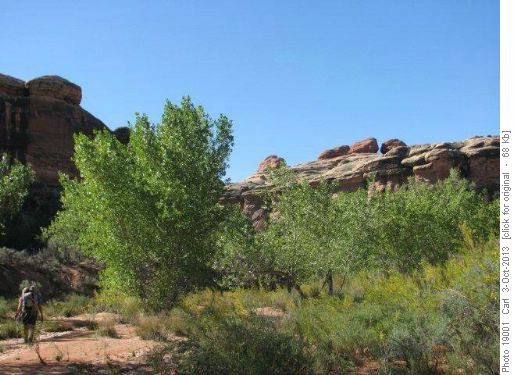Lush Lost Canyon