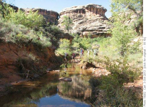 Standing pools and running stream in Lost Canyon