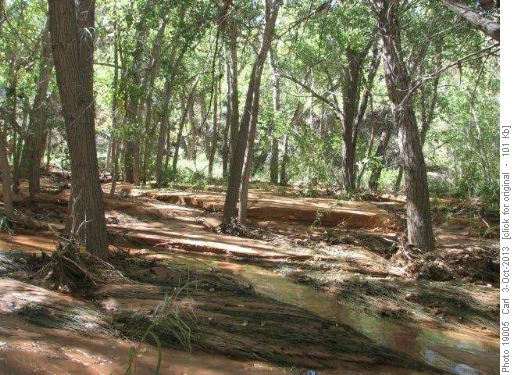 Flash flood mud flow in Lost Canyon