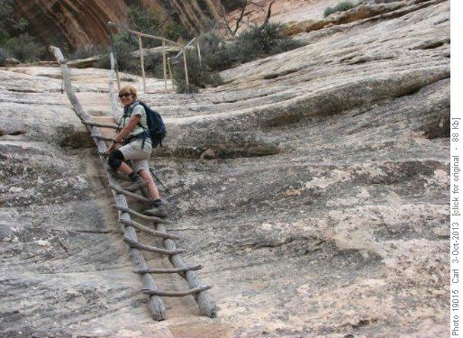 Ladder in the White Canyon