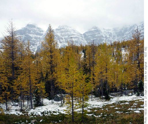 Larch Valley with Eiffel Peak in the clouds and snow