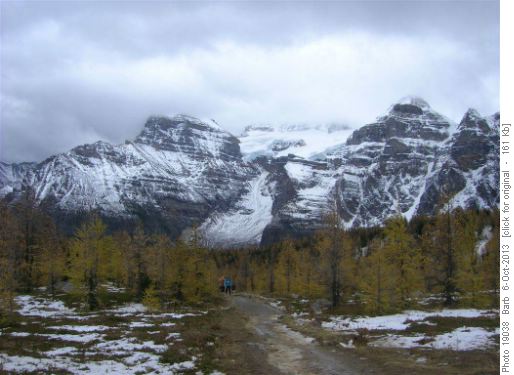 Fay Glacier and Larch Valley forest