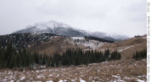 Bull Ck Hills, Grass Pass with Holy Cross Mountain in the background.