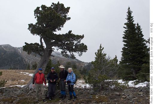 Joe, Harold, Peter and Carolyn at the Boundary Pine