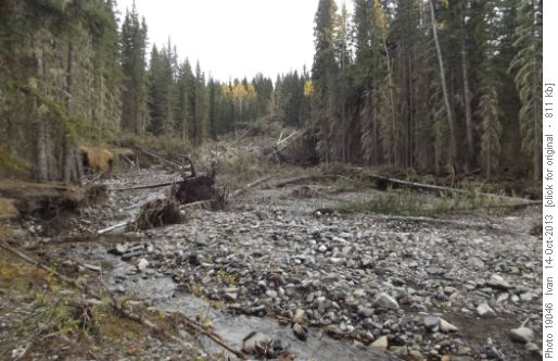Pigeon Creek